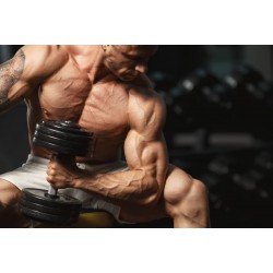 Sustanon is the recommended steroid for men after 40